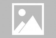 莱阳人力资源和社会保障局：赋能职业教育的坚实桥梁