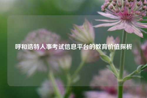 呼和浩特人事考试信息平台的教育价值探析