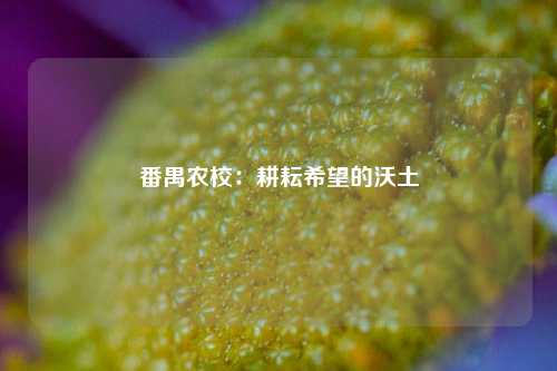 番禺农校：耕耘希望的沃土
