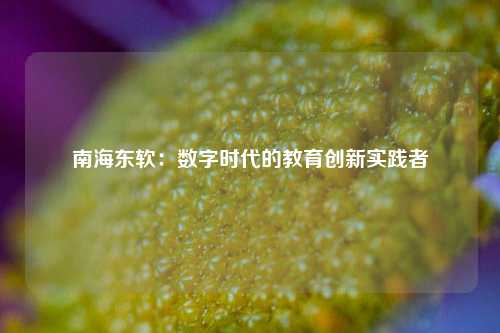 南海东软：数字时代的教育创新实践者