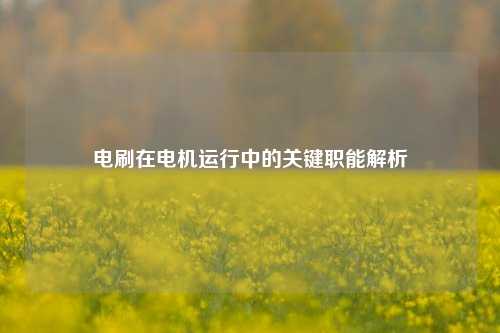 电刷在电机运行中的关键职能解析
